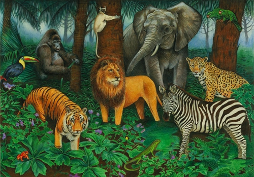 animal jungle